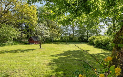 Iiro - 2.5Km from the Sea: Græs, Træ, Blad, Grøn, Natur, Naturligt Miljø, Afdeling, Vegetationen, Naturlige Landskab, Græs-