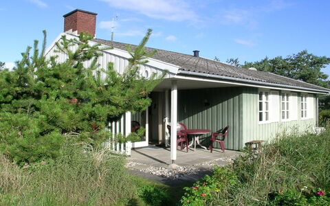 Edite - 500M from the Sea: Plantesamfund, Sollys, Urteagtig Plante, Have, Plantation, Landbrug, Farm