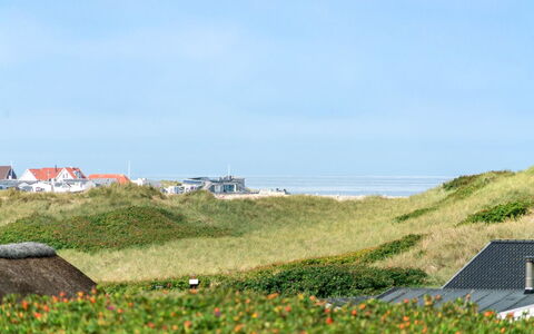 Stener - 250M from the Sea: Landskab, Tag, Land Lot, Almindeligt, Mark, Prærie, Forstad, Kyst, Steppe, Farm