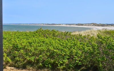 Legolas - 50M from the Sea