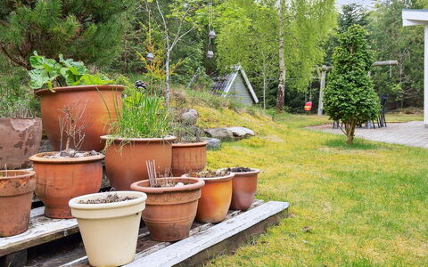 Seraphina - 2Km from the Sea: Grøn, Blomsterkrukke, Busk, Have, Stueplante, Backyard, Keramik, Gård