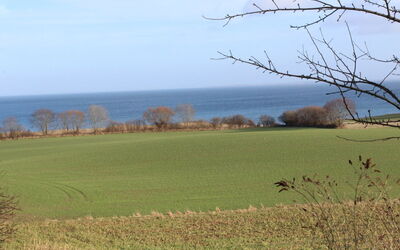 Hoimar - 400M from the Sea