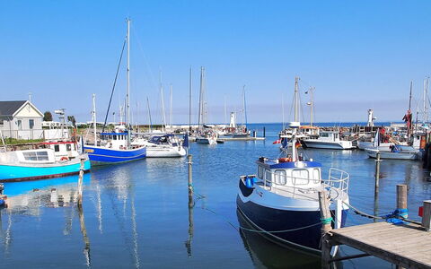 Hera - 200M from the Sea: Plantesamfund, Sollys, Urteagtig Plante, Have, Plantation, Landbrug, Farm
