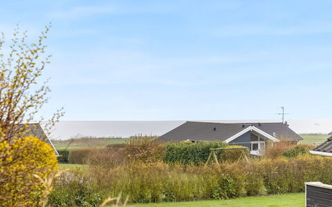 Hera - 200M from the Sea: Plantesamfund, Sollys, Urteagtig Plante, Have, Plantation, Landbrug, Farm