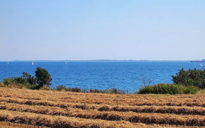 Hera - 200M from the Sea