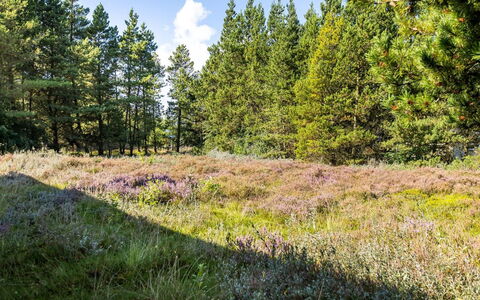 Maija - 1.4Km from the Sea: Sommerhus, Skur, Hytte, Stuehus, Prærie, Hytte, Lade, Bjælkehytte, Garden Bygninger