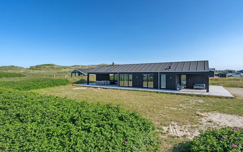 Aiko - 50M from the Sea: Plantesamfund, Sollys, Urteagtig Plante, Have, Plantation, Landbrug, Farm