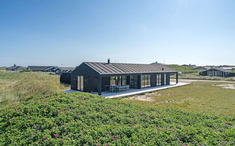 Aiko - 50M from the Sea: Plantesamfund, Sollys, Urteagtig Plante, Have, Plantation, Landbrug, Farm