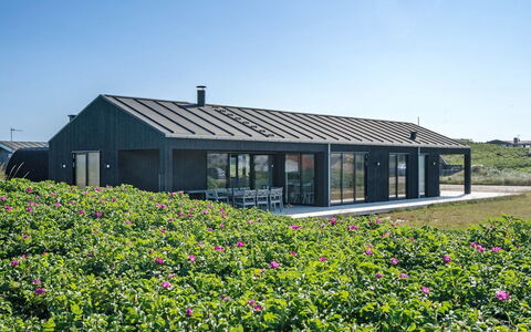 Aiko - 50M from the Sea: Plantesamfund, Sollys, Urteagtig Plante, Have, Plantation, Landbrug, Farm
