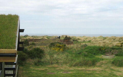 Maini - 600M from the Sea: Græs, Græs-, Vegetationen, Økoregion, Sky, Almindeligt, Landskab, Land Lot, Plantesamfund, Pasture