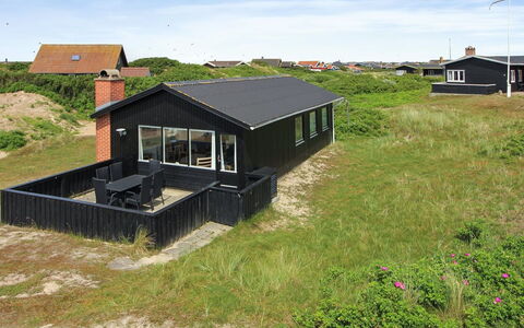 Terhi - 200M from the Sea: Plantesamfund, Sollys, Urteagtig Plante, Have, Plantation, Landbrug, Farm