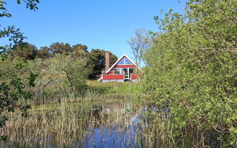 Piotr - 800M from the Sea: Græs, Naturlige Landskab, Græs-, Marsk, Sommerhus, Eng, Prærie