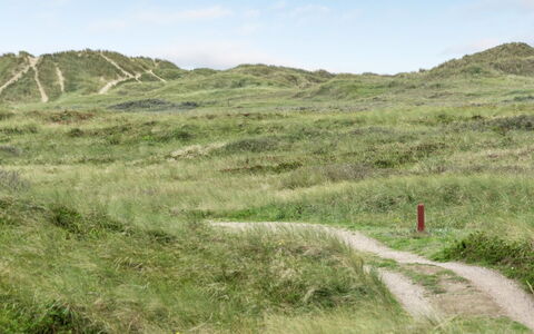 Betti - 300M from the Sea: Græs, Hus, Tag, Hjem, Sommerhus, Busk, Land Lot, Landdistrikt, Stuehus, Bunddække