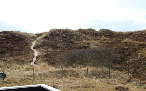 Veetrikki - from the Sea: Plantesamfund, Sollys, Urteagtig Plante, Have, Plantation, Landbrug, Farm