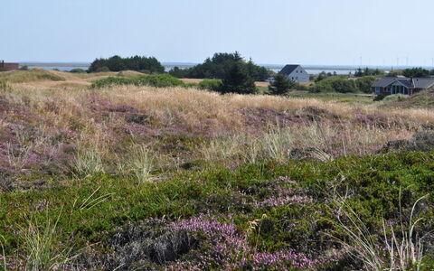 Arli - 800M from the Sea: Sommerhus, Skur, Hytte, Stuehus, Prærie, Hytte, Lade, Bjælkehytte, Garden Bygninger