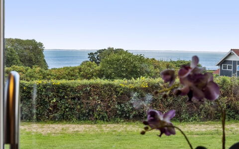 Aarne - 300M from the Sea: Sommerhus, Hjem, Hus, Tag, Veranda, Estate, Sidespor, Garden Bygninger, Stuehus, Gård