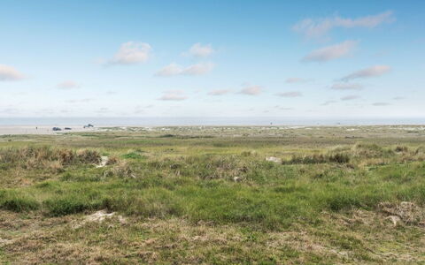 Anedorte - 50M from the Sea: Himmel, Blå, Daytime, Græs, Sky, Naturligt Miljø, Græs-, Økoregion, Horisont, Vegetationen