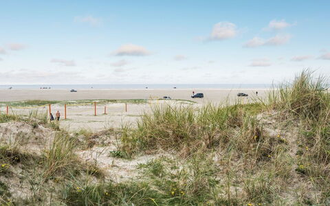 Anedorte - 50M from the Sea: Tag, Hus, Hjem, Sommerhus, Dør, Sidespor, Dæk, Veranda, Planke, Hårdttræ