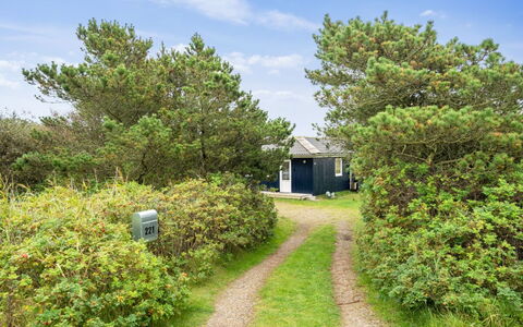 Swana - 550M from the Sea: Plantesamfund, Sollys, Urteagtig Plante, Have, Plantation, Landbrug, Farm