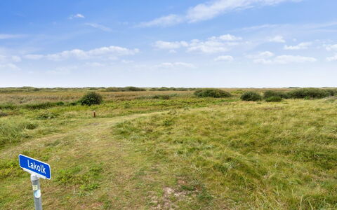 Swana - 550M from the Sea: Plantesamfund, Sollys, Urteagtig Plante, Have, Plantation, Landbrug, Farm