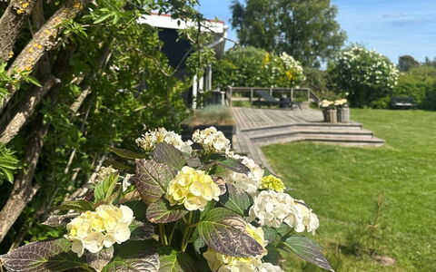 Stygge - 400M from the Sea: Blomst, Busk, Have, Kronblad, Bunddække, Blomstrende Plante, Forår, Landscaping, Gård, Backyard