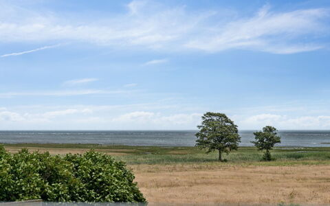 Amely - 500M from the Sea: Himmel, Blå, Daytime, Sky, Horisont, Græs, Naturlige Landskab, Græs-, Økoregion, Almindeligt