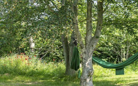 Leevi - 150M from the Sea: Grøn, Blad, Bagagerum, Bunddække, Vedplante, Forår, Lawn, Skygge, Have, Woodland