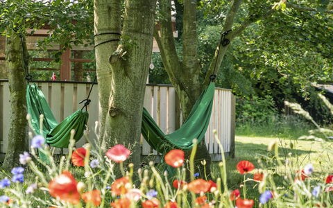 Leevi - 150M from the Sea: Grøn, Blad, Sommer, Have, Busk, Lawn, Forår, Bunddække, Bagagerum