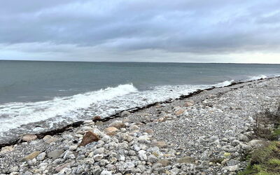 Sahid - 20M from the Sea