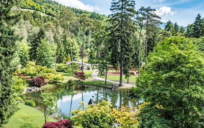 Baita Valon Alpine Hideaway