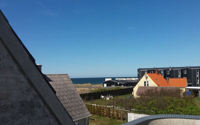 Brun - 60M from the Sea