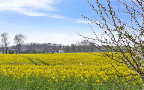 Malfred - 500M from the Sea: Plantesamfund, Sollys, Urteagtig Plante, Have, Plantation, Landbrug, Farm