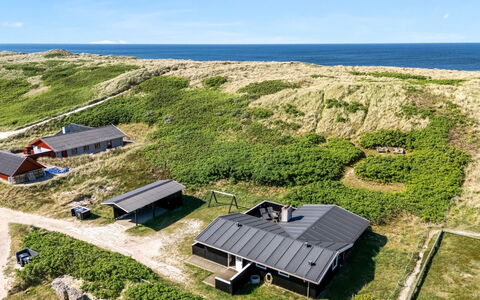 Lill - 50M from the Sea: Plantesamfund, Sollys, Urteagtig Plante, Have, Plantation, Landbrug, Farm