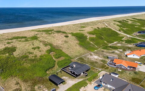 Lill - 50M from the Sea: Plantesamfund, Sollys, Urteagtig Plante, Have, Plantation, Landbrug, Farm