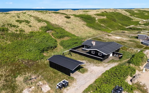 Lill - 50M from the Sea: Plantesamfund, Sollys, Urteagtig Plante, Have, Plantation, Landbrug, Farm