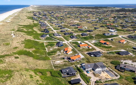 Lill - 50M from the Sea: Plantesamfund, Sollys, Urteagtig Plante, Have, Plantation, Landbrug, Farm
