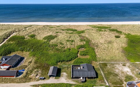 Lill - 50M from the Sea: Plantesamfund, Sollys, Urteagtig Plante, Have, Plantation, Landbrug, Farm