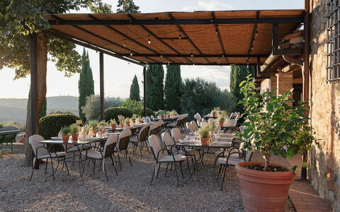 Villa Sulle Crete: Plante, Bord, Møbel, Ejendom, Blomsterkrukke, Skygge, Stol, Udendørs Bord, Træ, Udendørs Møbler