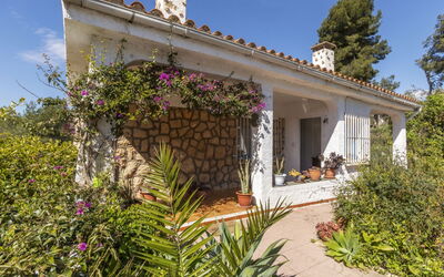 Villa Pedro