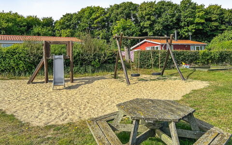 Kjera - 200M from the Sea: Plantesamfund, Sollys, Urteagtig Plante, Have, Plantation, Landbrug, Farm