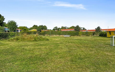 Kjera - 200M from the Sea: Plantesamfund, Sollys, Urteagtig Plante, Have, Plantation, Landbrug, Farm