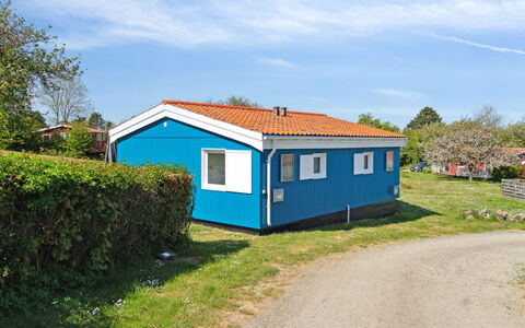 Kjera - 200M from the Sea: Plantesamfund, Sollys, Urteagtig Plante, Have, Plantation, Landbrug, Farm