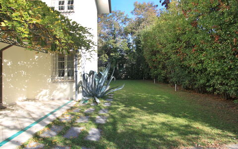 Villa Glicine: Plante, Ejendom, Vindue, Blad, Bygning, Himmel, Afdeling, Vegetationen, Land Lot, Træ