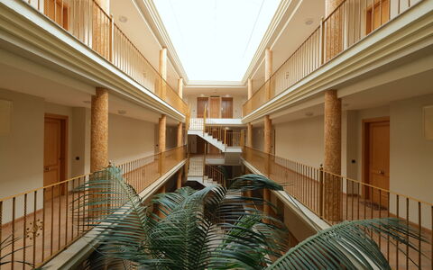 Golden Beach: Plante, Bygning, Ejendom, Indretning, Stueplante, Ejendom, Facade, Trappe, Træ, Loft