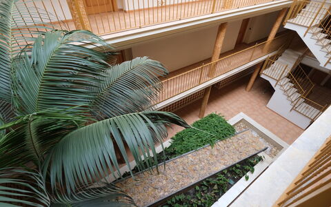 Golden Beach: Bygning, Blad, Plante, Hus, Træ, Ejerlejlighed, Urban Design, Terrestrisk Plant, Arecales, Ejendom
