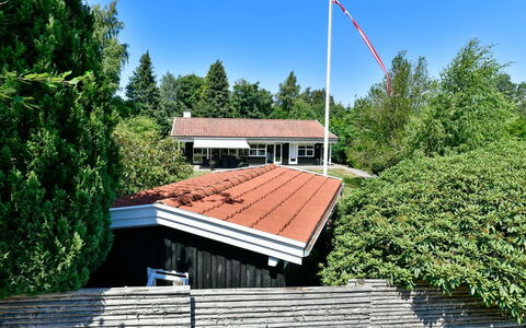 Cedomir - 625M from the Sea: Plantesamfund, Sollys, Urteagtig Plante, Have, Plantation, Landbrug, Farm