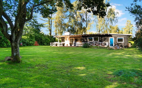 Ljuba - 1.2Km from the Sea: Græs, Træ, Hus, Land Lot, Sommerhus, Landdistrikt, Almindeligt, Have, Hjem