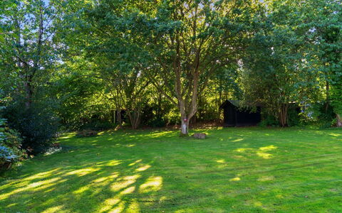 Ljuba - 1.2Km from the Sea: Blad, Træ, Græs, Grøn, Busk, Have, Lawn, Land Lot, Bunddække