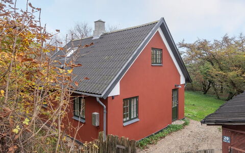Tabetha - 25M from the Sea: Plantesamfund, Sollys, Urteagtig Plante, Have, Plantation, Landbrug, Farm