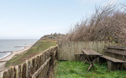 Tabetha - 25M from the Sea: Plantesamfund, Sollys, Urteagtig Plante, Have, Plantation, Landbrug, Farm